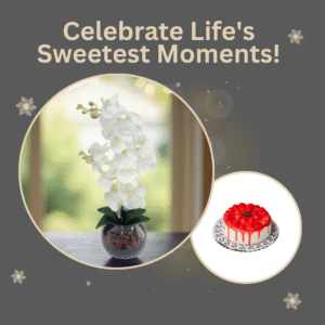 Sweet Duo - White Orchid 2 Stems & Strawberry Cake